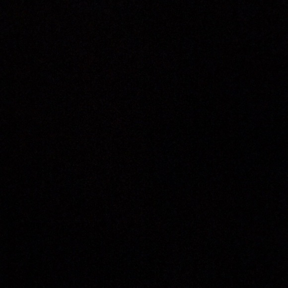 Meet your Posher, Rory - Picture 1 of 1